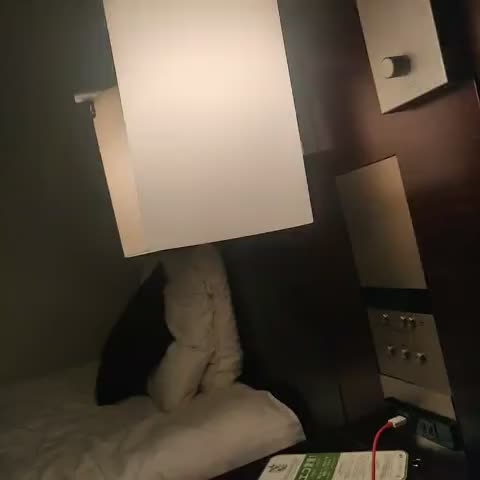Hotel Trusty Tokyo Bayside - Traveller Photo
