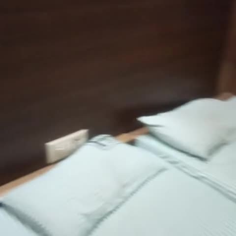 HOTEL VISAKA - Traveller Photo