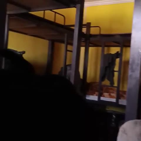 ELtravo Hostel  - Traveller Photo
