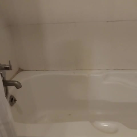 FLORENCE CONTINENTAL HOTEL - Traveller Photo