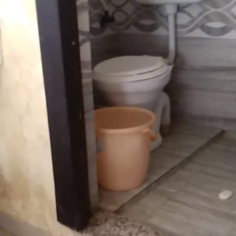 Hotel Amrit - Traveller Photo