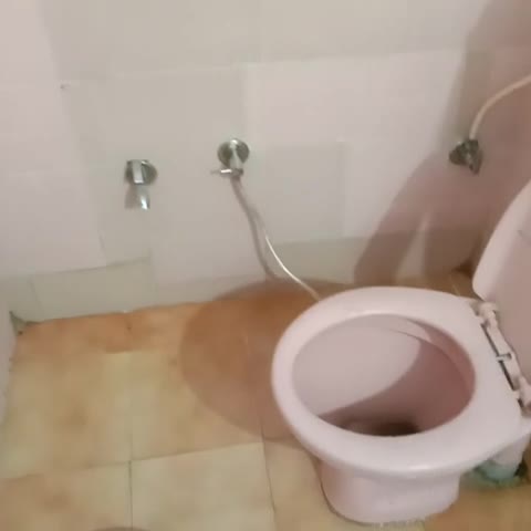 Hotel Gokul Palace Udaipole - Traveller Photo