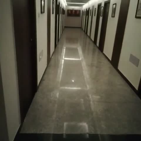 Hotel Golden Feather - Traveller Photo