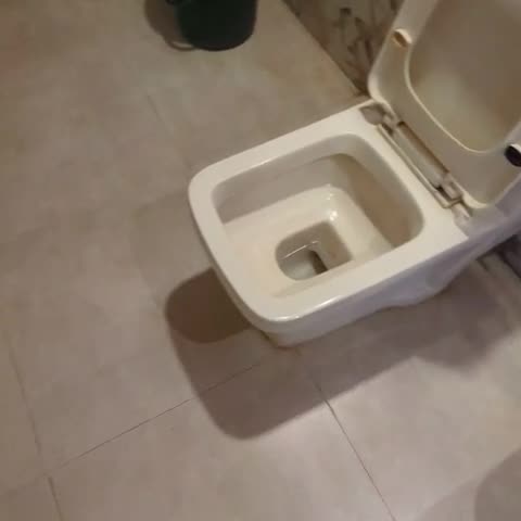 Hotel Shubham (1 km from Udaipur Railway Station) - Traveller Photo