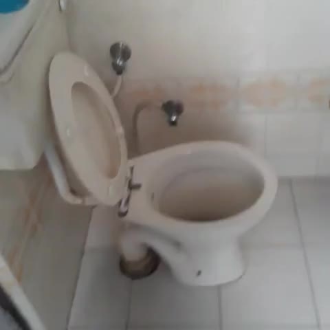 Hotel Shubh Laxmi - Traveller Photo