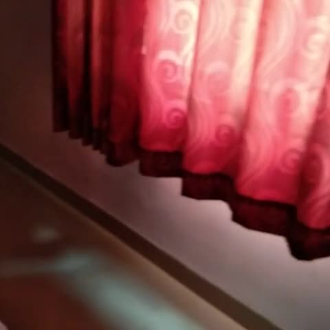 Hotel White Tulip near Airport, Udaipur - Traveller Photo