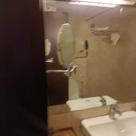 VESTA GRAND CENTRAL UDAIPUR - Traveller Photo