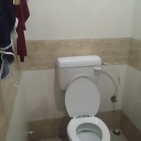 Nandini paying guest house - Traveller Photo