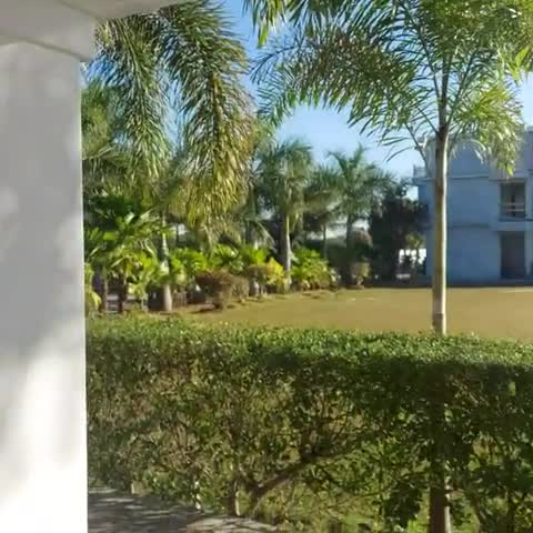 Rupis Resort near Udaipur Airport - Traveller Photo