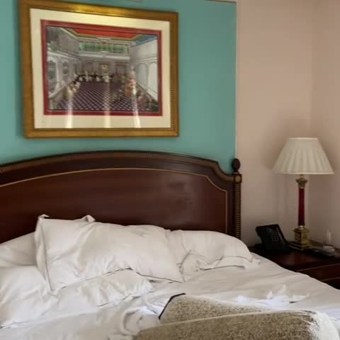 Taj Fateh Prakash Palace, Udaipur - Traveller Photo