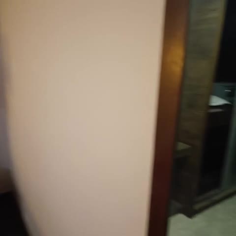 Hotel Ace Grand - Traveller Photo