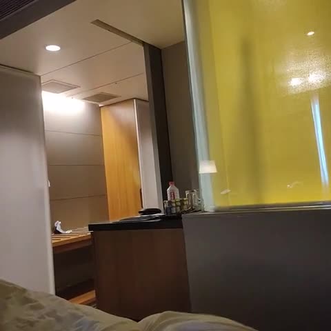 Royal Orchid Central Vadodara - Traveller Photo
