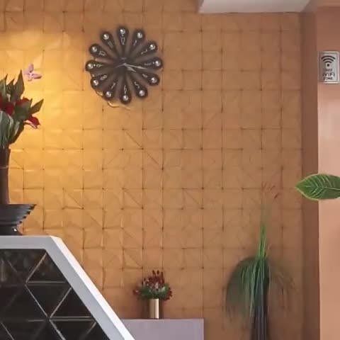 The Oasis Hotel - Traveller Photo