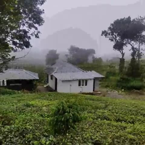 Edayan Meadows Vagamon - Traveller Photo