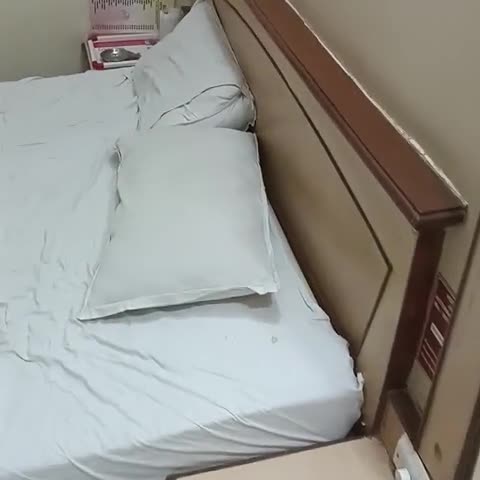 Hotel Jay International - Traveller Photo