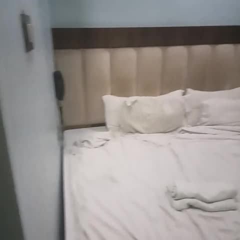 Hotel Chandra Inn - Traveller Photo