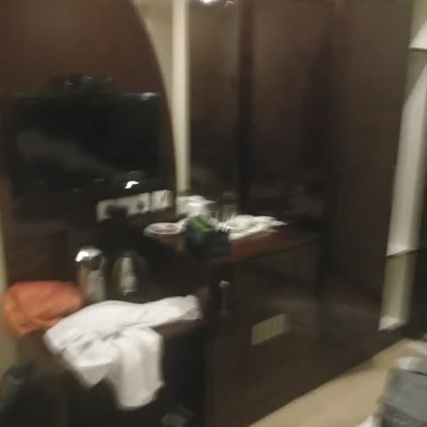 Hotel Dolphin International - Traveller Photo