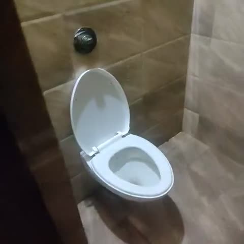 Hotel Janki International - Traveller Photo