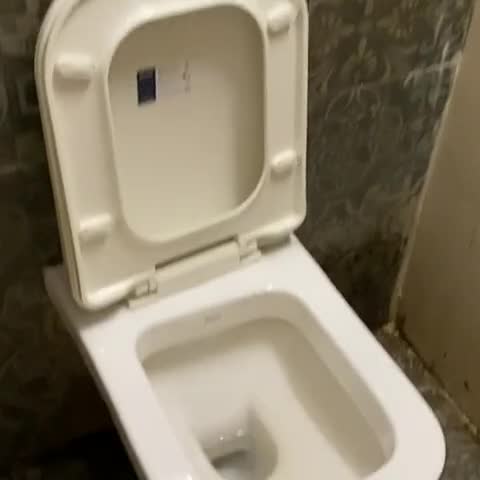 Hotel Sarin Inn Heritage - Traveller Photo