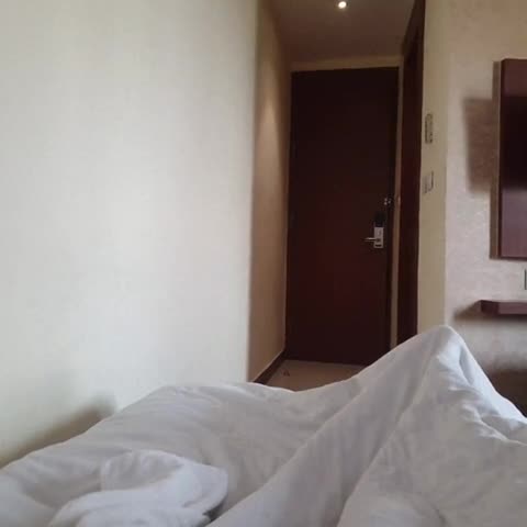 Hotel Vagmi - Traveller Photo