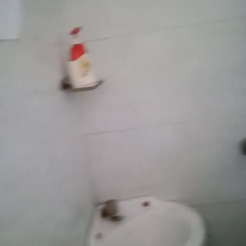J.P Guest House - Traveller Photo