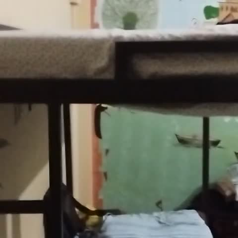 Old City PG Hostel - Traveller Photo