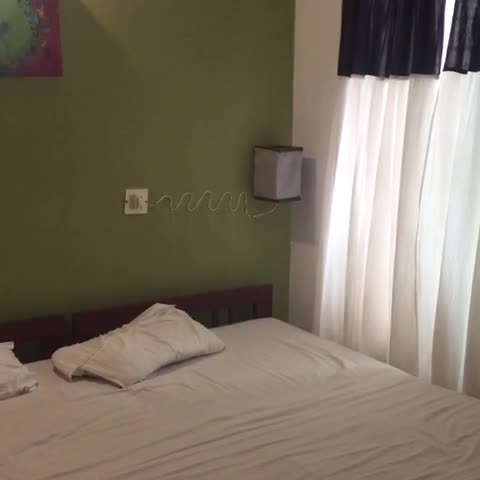 Akshay Beach Resort - Traveller Photo