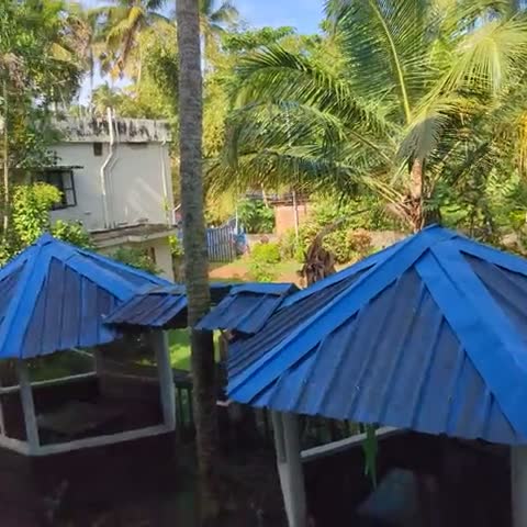 Panchavadi Ayurvedic Beach Resort - Traveller Photo