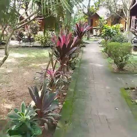 Savithri Inn Cottages - Traveller Photo