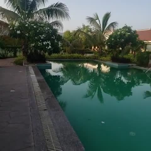The Fern Sattva Resort - Polo Forest - Traveller Photo