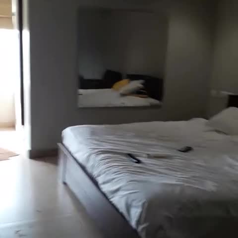 Super Hotel O CJ Inn - Traveller Photo