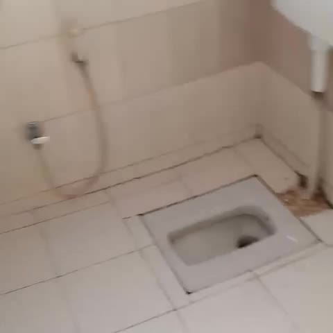 Hotel Morya - Traveller Photo