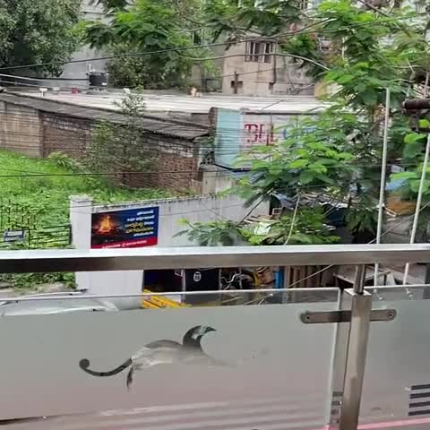 Renuka Hotel - Traveller Photo
