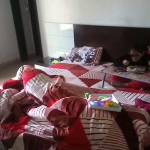 Hotel Shubham Majesty - Traveller Photo