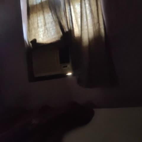 Tulsi inn - Traveller Photo