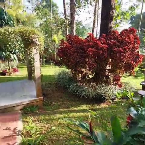 Karapuzha Village Resort - Traveller Photo