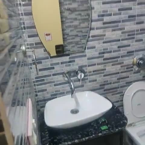 Hotel Raman'S - Traveller Photo