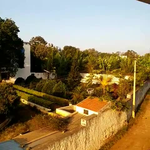 Hotel Hill Breeze Yelagiri - Traveller Photo