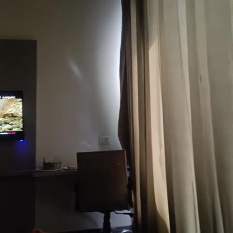 Hotel Carnival - Traveller Photo