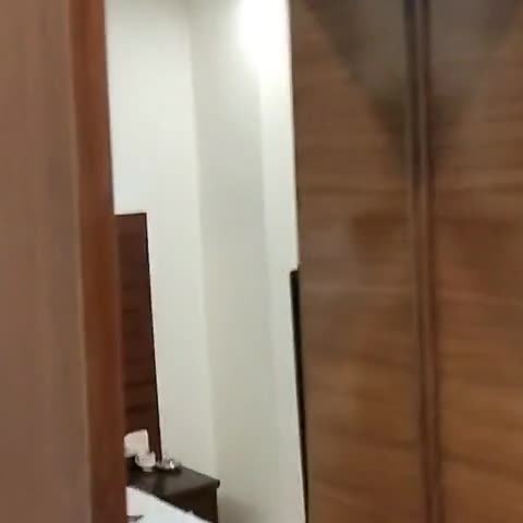 Hotel Silver Palm - Traveller Photo